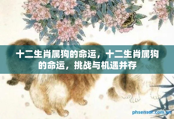 夫荣妻贵 第6页