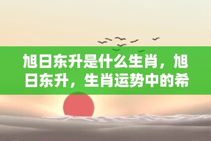 旭日东升生肖揭秘，探寻生肖运势中的希望之光