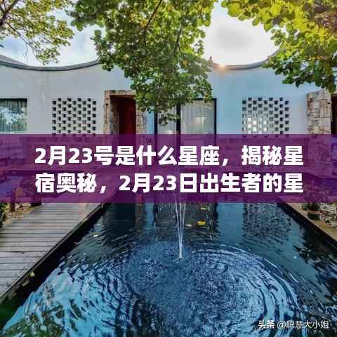 揭秘星宿奥秘，2月23日出生者的星座运势解析及星座特点探索