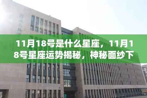 11月18号星座运势揭秘，独特魅力与神秘面纱下的运势展望
