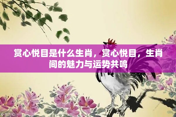 赏心悦目，生肖魅力与运势的共鸣