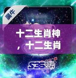 十二生肖神的星象指引，掌握命运之轮的秘密