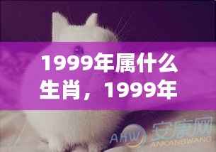 揭秘命运轨迹，1999年属兔人的生肖运势与人生机遇展望