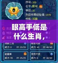 生肖视角下的解读，眼高手低现象与星座运势的微妙关联