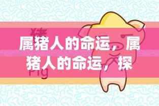 属猪人的命运探究，星象背后的无限可能与探寻命运之谜