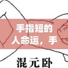 手指短的人命运揭秘，手相中的命运密码解读