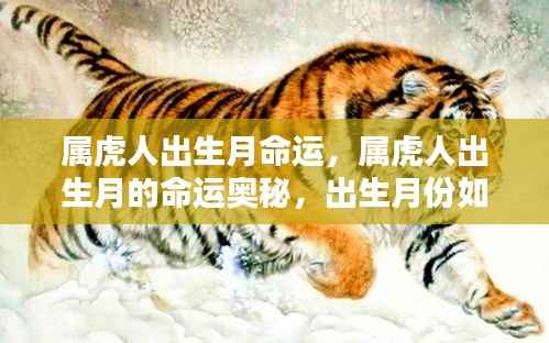 属虎人出生月命运揭秘，性格与未来如何被出生月份塑造？