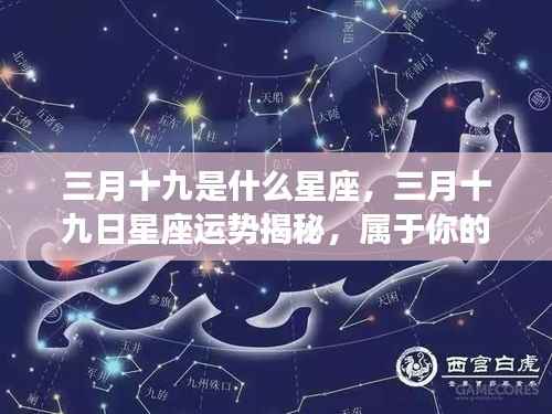 三月十九日星座运势揭秘，星辰轨迹下的独特运势