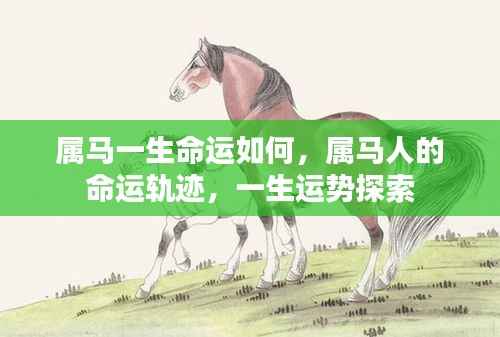 属马人的命运轨迹与一生运势探索，揭示一生起伏与机遇！