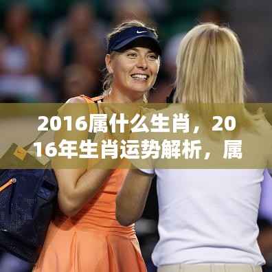 矢志不渝 第7页