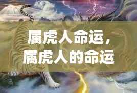 属虎人的命运，星象指引与人生轨迹的交织揭秘