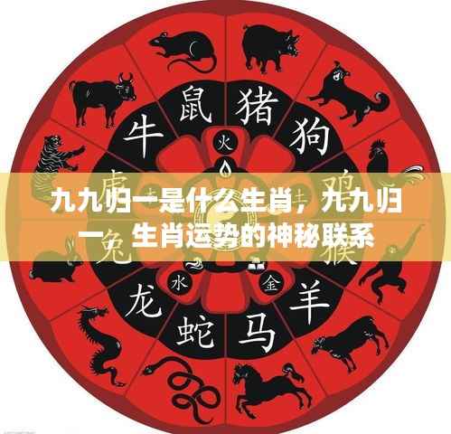 九九归一与生肖运势的神秘联系探索