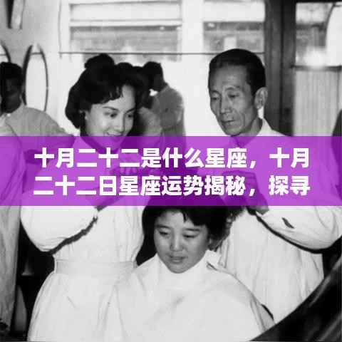 十月二十二日星座运势揭秘，探寻属于你的星辰轨迹，解锁属于你的星座运势秘密