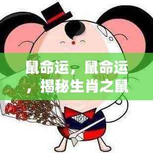 揭秘生肖鼠的运势轨迹，探寻命运之轮中的机遇与挑战