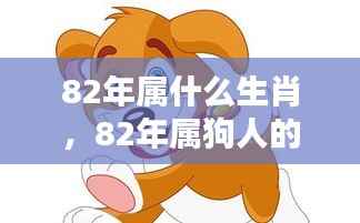 82年属狗的生肖运势与挑战机遇解析