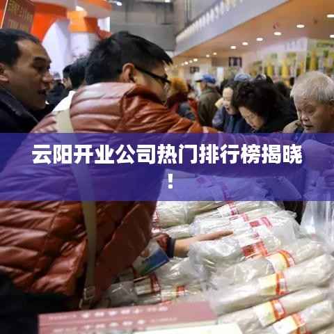 云阳开业公司热门排行榜揭晓！