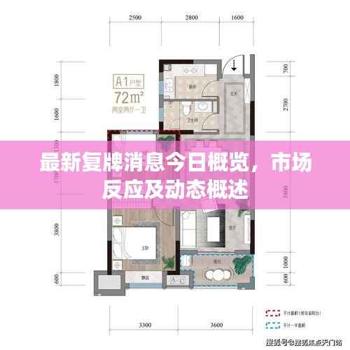 最新复牌消息今日概览，市场反应及动态概述