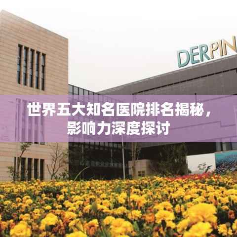 世界五大知名医院排名揭秘，影响力深度探讨