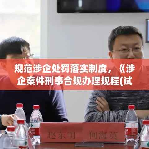 规范涉企处罚落实制度，《涉企案件刑事合规办理规程(试行)》 